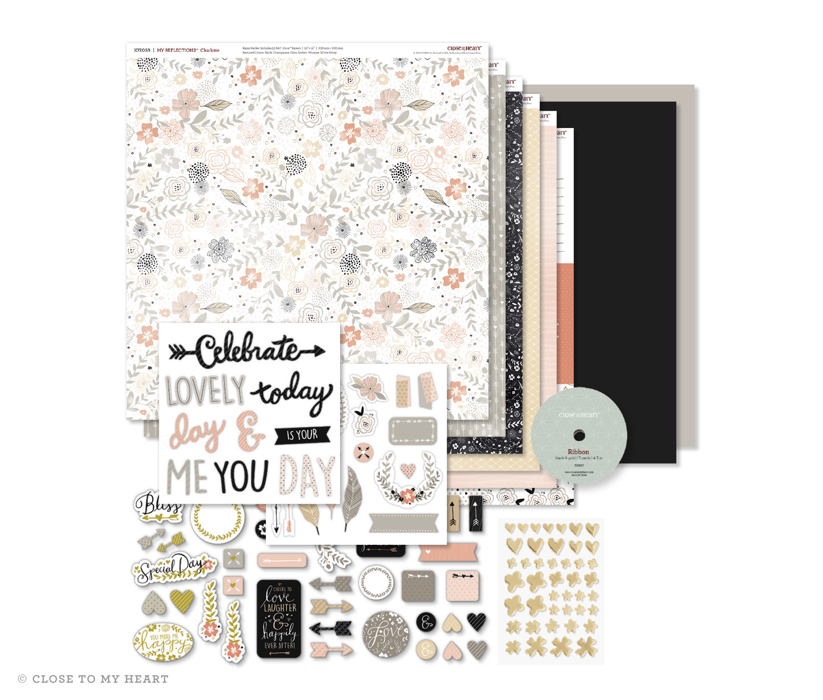 Charlotte Workshop Your Way Scrapbooking Kit