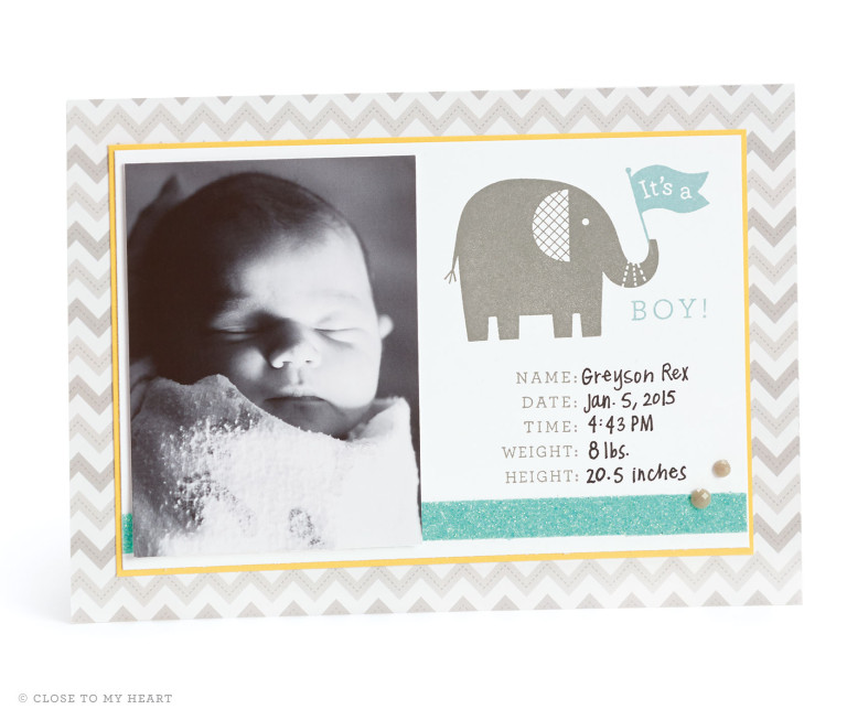 Baby Zoo Stamp Set