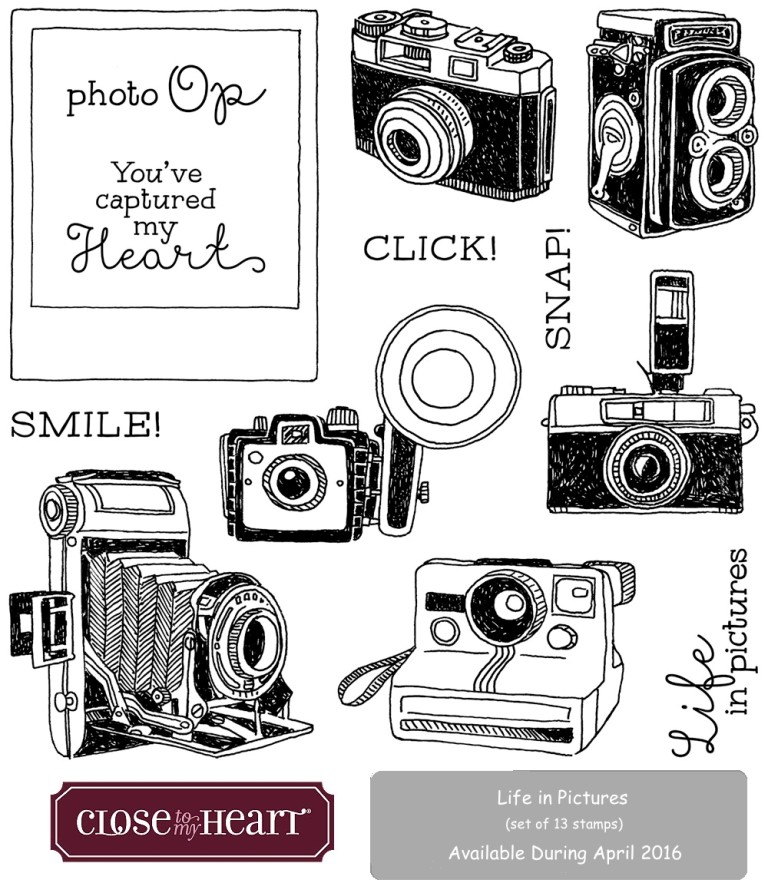 April Stamp of the Month: Life in Pictures