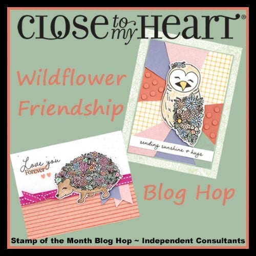 Wildflower Friendship Blog Hop (Oct SOTM)